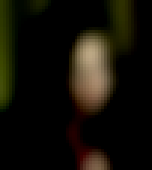 Photo de Yara